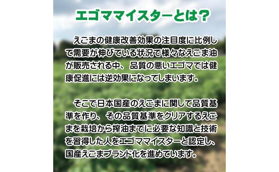 【毎日の美容と健康に】えごまマイスターがつくる『えごまカプセル　120粒×2袋　約2ケ月分』エゴマオイル＜22-4a＞