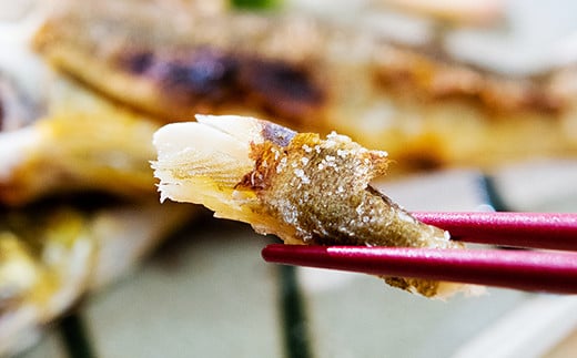 鮎の塩焼きギフト 5～8尾入り ＜25-7a＞川魚 鮎 あゆ★