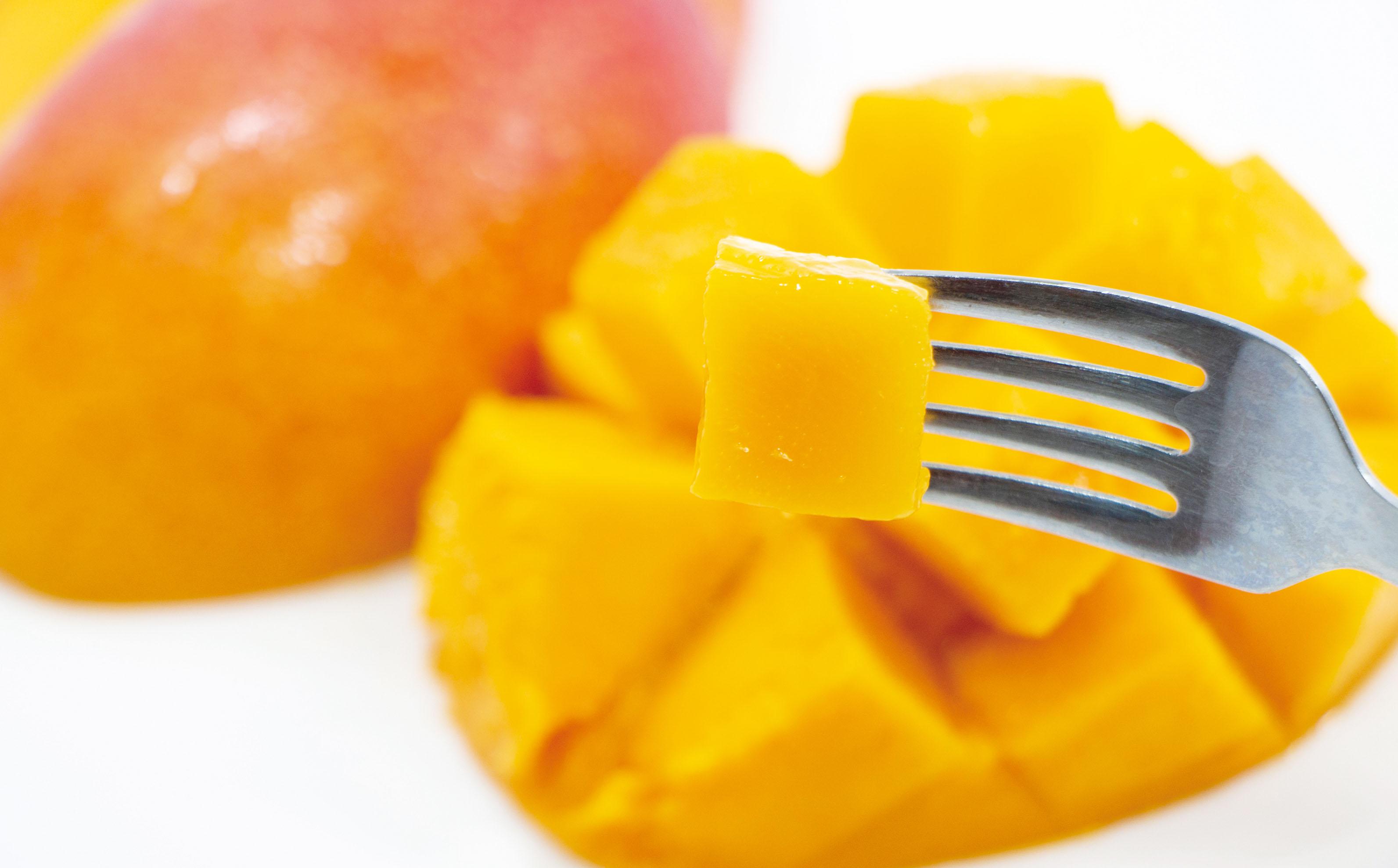 西都市産訳あり完熟マンゴーと西都市産スイートコーンドレッシングセット ＜1-166＞宮崎マンゴー★