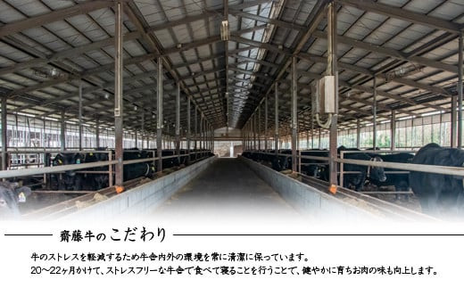 黿¯åç ãå®®åŽåç éœè€çãããŒã¹ãããŒã 450gïŒ2-98ïŒçè