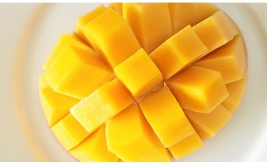 ãå
è¡äºçŽã颿€æ œå¹ å®çãã³ãŽãŒ 2LÃ2åãå®®åŽç西éœç£ æ°ééå® ãµã ã©ã€ãã¡ãŒã ïŒ1.5-130ïŒ