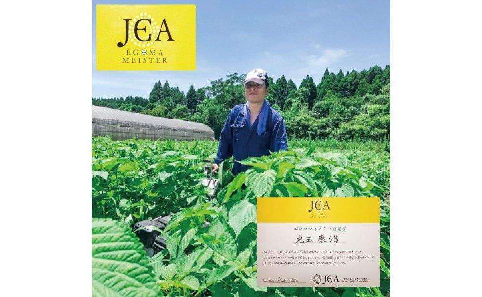 【毎日の美容と健康に】えごまマイスターがつくる『生えごま油　110g×3　遮光瓶タイプ』国産純度100% エゴマオイル＜2.5-27＞