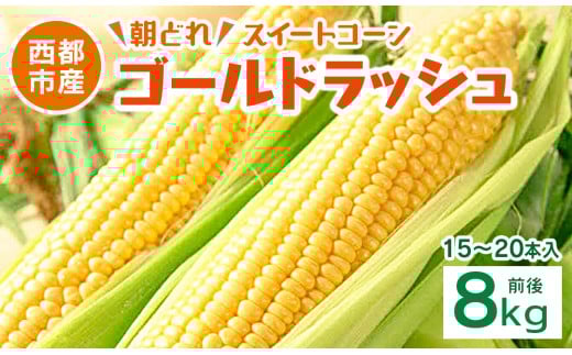 初夏の味覚！鮮度が命 生産者直送 村田さん家のゴールドラッシュ 約8kg 大人気 西都市産 朝どれスイートコーン【先行予約】とうもろこし トウモロコシ＜1.2-35＞