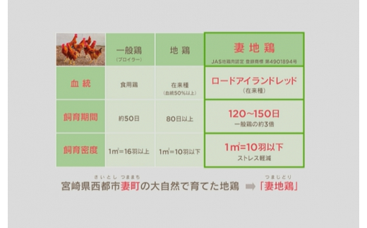 ブランド地鶏 妻地鶏 地鶏骨付もも焼詰合せ 地鶏炭火焼 真空パック＜1.5-111＞地鶏 国産 鶏肉 鳥肉 炭火焼 おつまみ