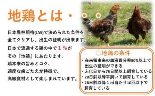 ブランド地鶏「妻地鶏」炭火焼詰合せ30　100g×5パック 真空パック＜8-3a＞