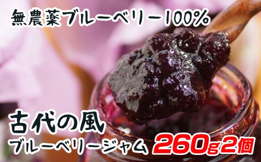 『古代の風』無農薬ブルーベリージャムBig  260g×2個＜1-131＞