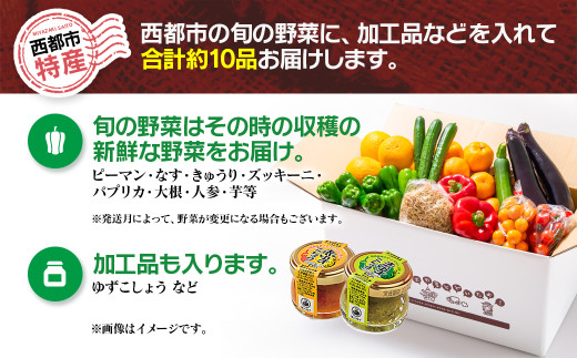 5ヶ月定期便 西都市旬の特産詰め合わせセット 野菜・マンゴー・スイートコーン等＜7-8＞野菜 フルーツ【12月31日申し込み終了】