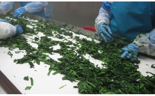 とっても便利！冷凍野菜詰め合わせセット 12袋 計2.3kg＜1-127＞★