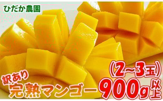 【ひだか農園】「訳あり」完熟マンゴー900ｇ以上 宮崎県西都産【先行予約 】＜1.2-47＞
