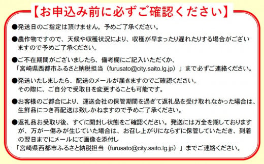 【先行予約】ひだか農園「訳あり」完熟マンゴー 900ｇ以上 宮崎県西都産 数量限定 2026年発送＜36-1a＞