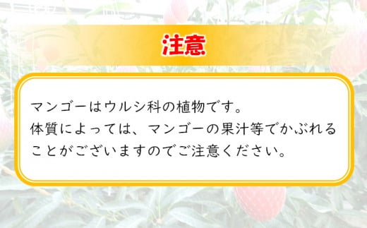 【先行予約】ひだか農園「訳あり」完熟マンゴー 900ｇ以上 宮崎県西都産 数量限定 2026年発送＜36-1a＞
