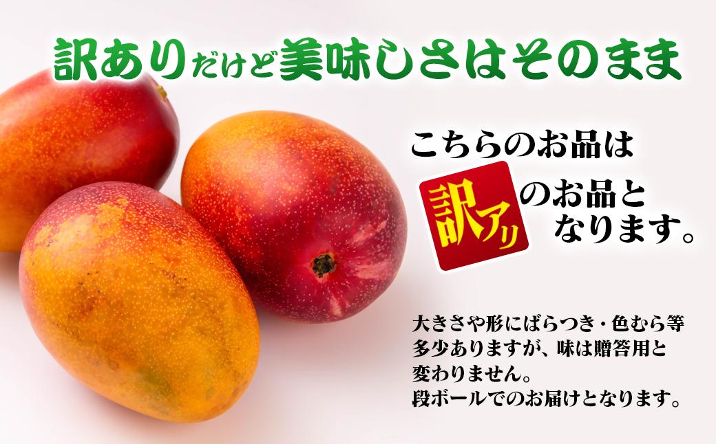 【先行予約】ひだか農園「訳あり」完熟マンゴー 900ｇ以上 宮崎県西都産 数量限定 2026年発送＜36-1a＞