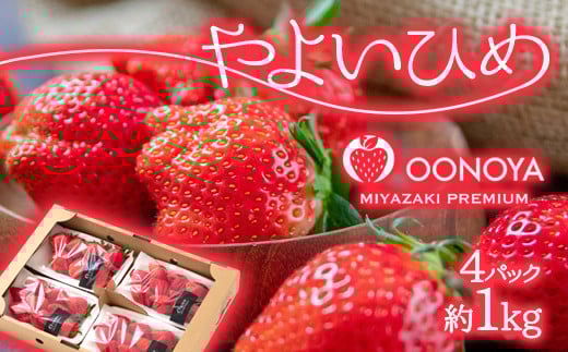 【先行予約】やよいひめ 厳選いちご 1kg（250g×４パック） 苺大野屋 宮崎県西都市＜2-104＞