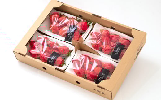 【先行予約】やよいひめ 厳選いちご 1kg（250g×４パック） 苺大野屋 宮崎県西都市＜2-104＞