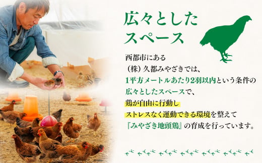 みやざき地頭鶏（じとっこ）鍋セット　ブランド鶏 鶏もも・鶏むね・手羽・つくね・スープ付＜21-1a＞