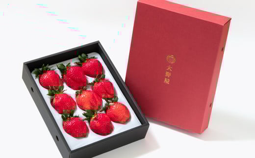 【先行予約】大粒厳選いちご やよいひめ  苺大野屋 宮崎県西都市＜1.5-232＞