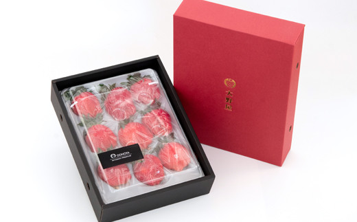 【先行予約】大粒厳選いちご やよいひめ  苺大野屋 宮崎県西都市＜1.5-232＞