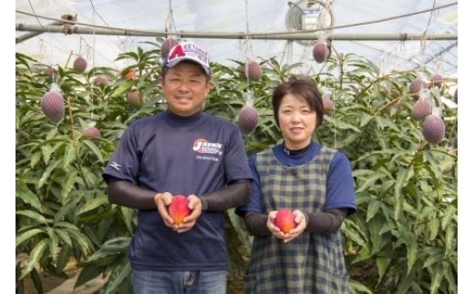 ãå
è¡äºçŽããå·åŽèŸ²åãå®çãã³ãŽãŒ 西éœåž ç£çç£è
çŽé 2026幎çºéïŒ1.7-46ïŒ