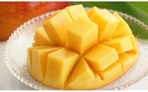 ãå
è¡äºçŽããå·åŽèŸ²åãå®çãã³ãŽãŒ 西éœåž ç£çç£è
çŽé 2026幎çºéïŒ1.7-46ïŒ