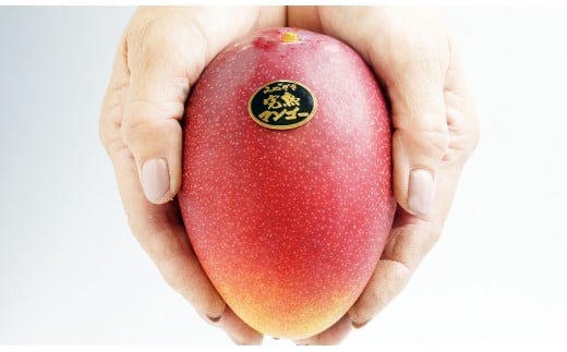 ãå
è¡äºçŽããå·åŽèŸ²åãå®çãã³ãŽãŒ 西éœåž ç£çç£è
çŽé 2026幎çºéïŒ1.7-46ïŒ