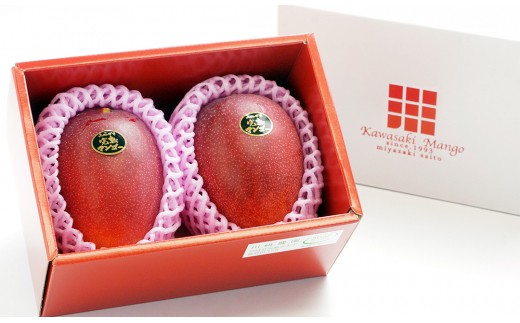 ãå
è¡äºçŽããå·åŽèŸ²åãå®çãã³ãŽãŒ 西éœåž ç£çç£è
çŽé 2026幎çºéïŒ1.7-46ïŒ