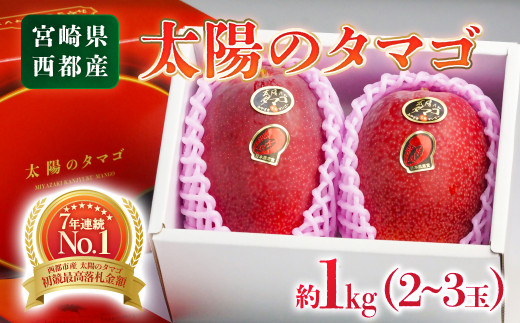 【先行予約】糖度15度以上 最高級ブランド『太陽のタマゴ』1㎏程度　宮崎県西都市産完熟マンゴー ＪＡ西都 2026年発送＜3-18＞