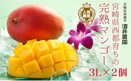 【酒井農園】西都産　宮崎完熟マンゴー3L×2個 産地直送【先行予約】2026年発送＜18-37a＞宮崎マンゴー
