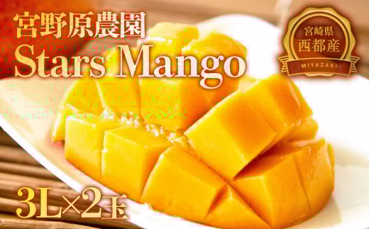 【糖度13度以上の大玉3Lサイズ2個】厳選したスターズマンゴー 宮野原農園の完熟マンゴー 生産者直送【先行予約】＜2-12＞宮崎マンゴー 果物 フルーツ 甘い　贈答　
