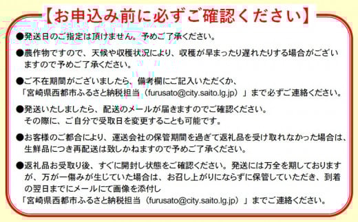 【先行予約】糖度13度以上　宮野原農園 スターズマンゴー3Lサイズ2個 完熟マンゴー 生産者直送＜2-106＞2026年発送