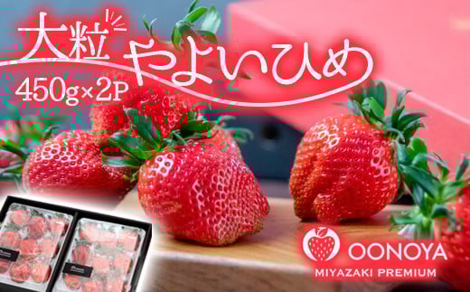 大粒厳選いちご やよいひめ 450g×２ 合計900g 苺大野屋 宮崎県西都市＜3-51＞【先行予約】