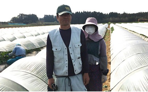 【先行予約】安藤さんちのエリザベスメロン約4kg すっきりした甘さ＜1.2-38＞2026年発送