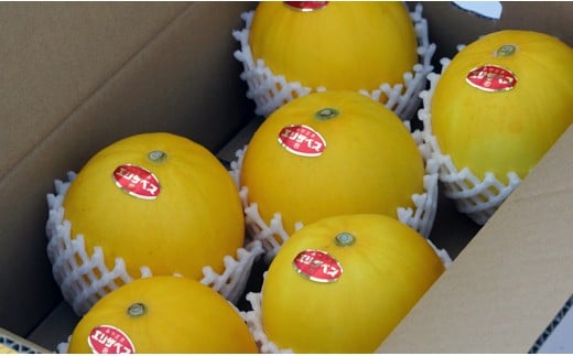 【先行予約】安藤さんちのエリザベスメロン約4kg すっきりした甘さ＜1.2-38＞2026年発送