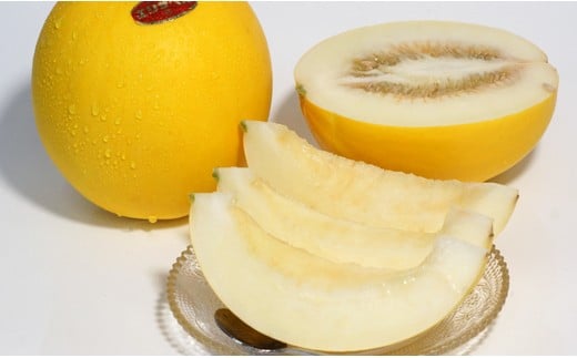 【先行予約】安藤さんちのエリザベスメロン約4kg すっきりした甘さ＜1.2-38＞2026年発送