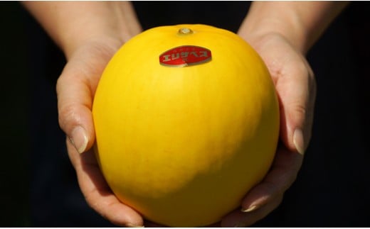 【先行予約】安藤さんちのエリザベスメロン約4kg すっきりした甘さ＜1.2-38＞2026年発送