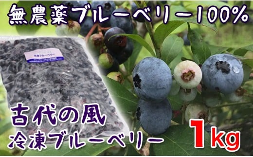 『古代の風』無農薬ブルーベリー１㎏ 冷凍＜1-56＞★