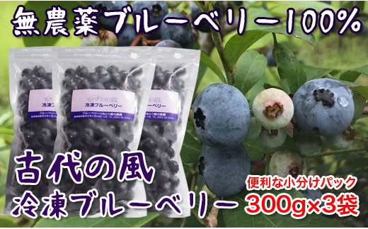 『古代の風』無農薬ブルーベリー900ｇ 冷凍 小分け300g×3＜1-57＞★