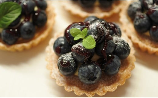 【先行予約】『古代の風』無農薬ブルーベリー900ｇ 冷凍 小分け300g×3＜23-9a＞