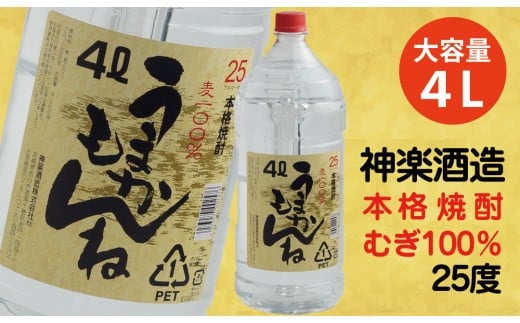 ビックサイズ！神楽酒造 本格麦焼酎『うまかもんね』25度 4L 大容量＜1.1-16＞
