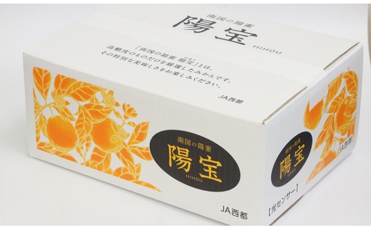 【先行予約】極早生みかん「南国の陽蜜・陽宝」5kg 糖度12度以上＜2-6a＞