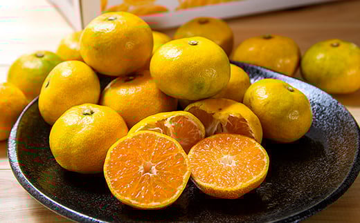 【先行予約】極早生みかん「南国の陽蜜」5kg 糖度10.5度以上＜2-5a＞