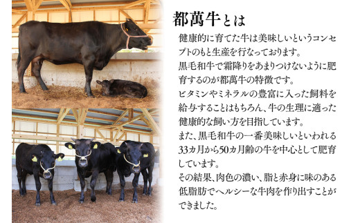 【12月発送】都萬牛 黒毛和牛ロースステーキ 牛肉 ステーキ ＜2-26＞牛肉 自社ブランド