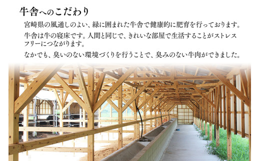 【12月発送】都萬牛 黒毛和牛ロースステーキ 牛肉 ステーキ ＜2-26＞牛肉 自社ブランド