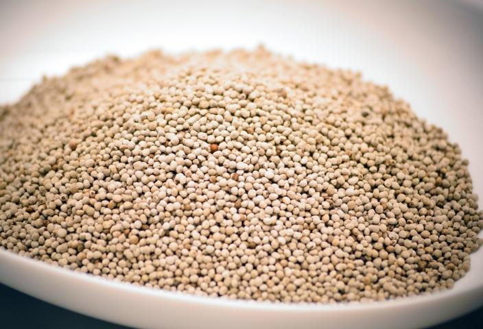 【毎日の美容と健康に】えごまマイスターがつくる『生えごま油』70g×2　国産純度100% エゴマオイル 食用油＜1-240＞