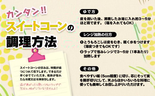 河野農園 朝どれスイートコーン『ゴールドラッシュ』約6kg【先行予約】2026年発送＜1-42＞とうもろこし トウモロコシ★
