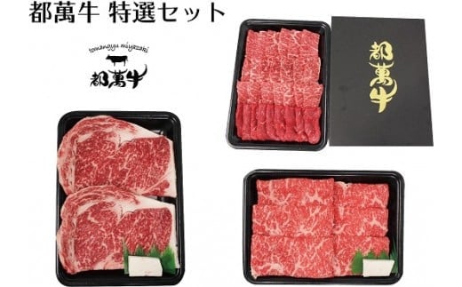 黒毛和牛『都萬牛』特選セット 牛肉 すき焼き・焼肉・ステーキ 国産牛肉＜6-1a＞