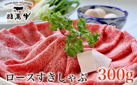 黿¯åçãéœè¬çãããŒã¹ã¹ã©ã€ã¹300g ããçŒã ããã¶ããã¶ çèïŒ1-36ïŒâ