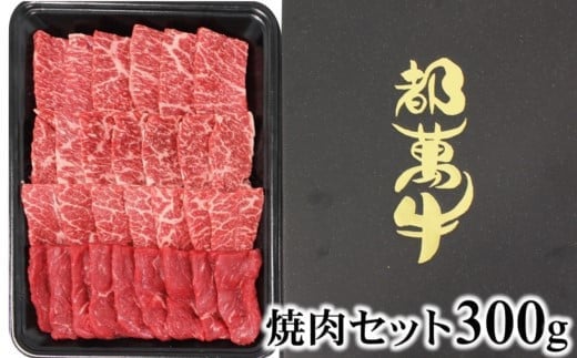 【12月発送】黒毛和牛『都萬牛』焼肉 300ｇ 国産牛肉＜1-35＞★