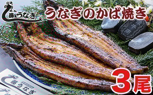 藤うなぎ かば焼き3尾 国産うなぎ 宮崎 蒲焼 鰻＜2.5-6＞