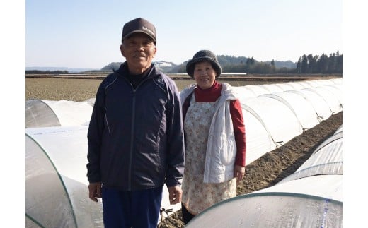 鮮床ãåœïŒçç£è
çŽé ç·æ¹ããã¡ã®æã©ãã¹ã€ãŒãã³ãŒã³ãã€ãšããŒã7kgãå
è¡äºçŽã2026幎çºéïŒ1-43ïŒâ
éè ããã ãšããããã