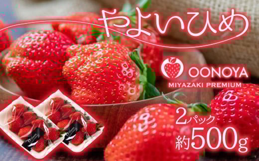 苺大野屋 やよいひめ 厳選いちご250g×2パック（合計500g） 宮崎県西都市＜1-294＞【先行予約】★